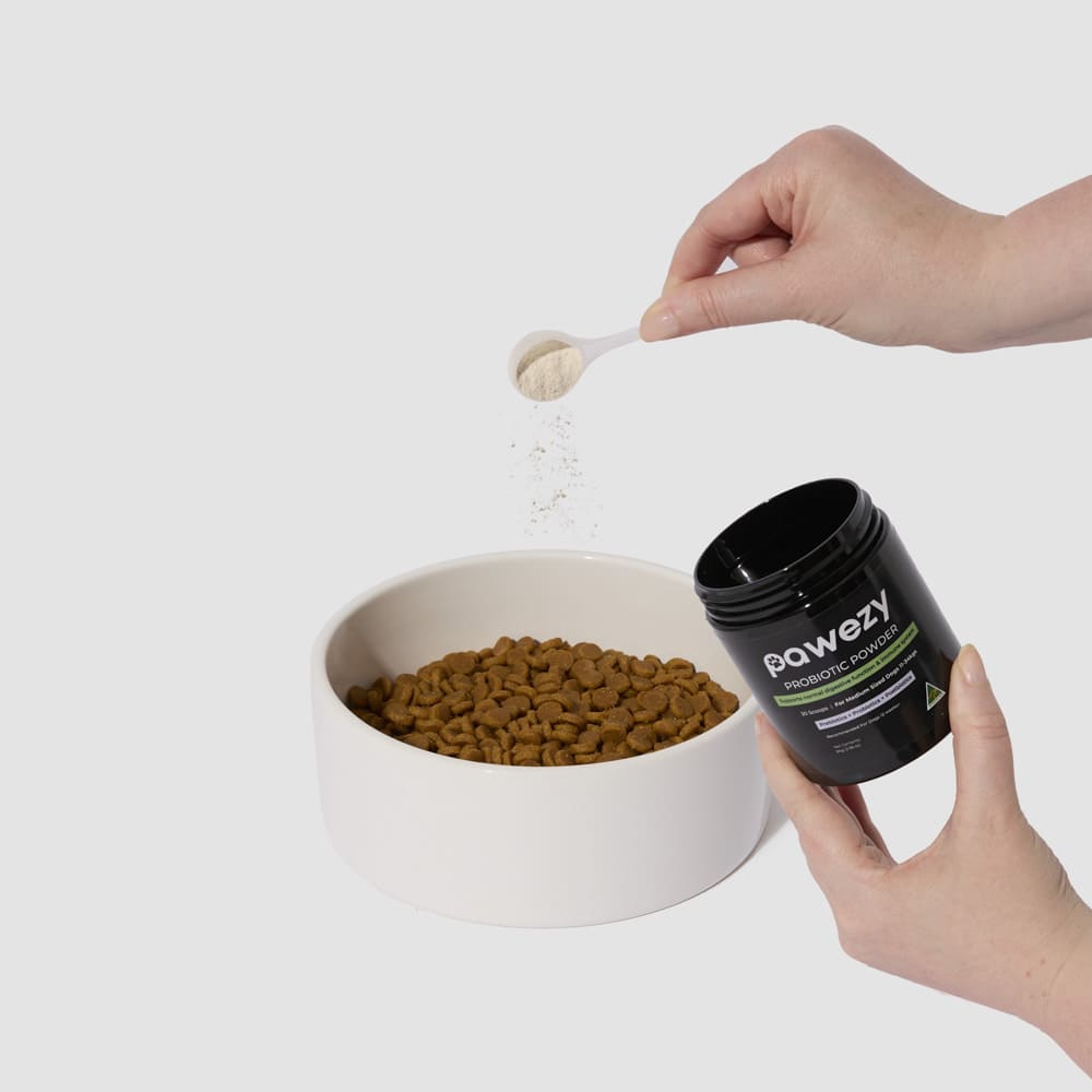 How Often Should You Give Your Dog Supplements?