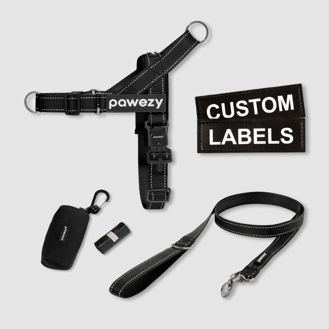 EasyFit No Pull Dog Harness Kit easyfit-no-pull-dog-harness-kit