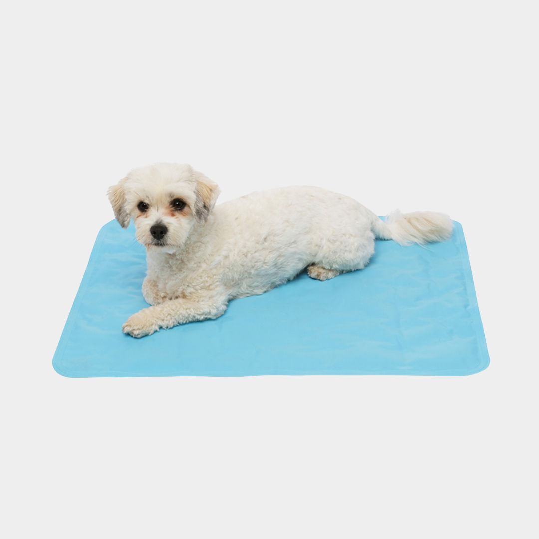 Pet Cooling Mat