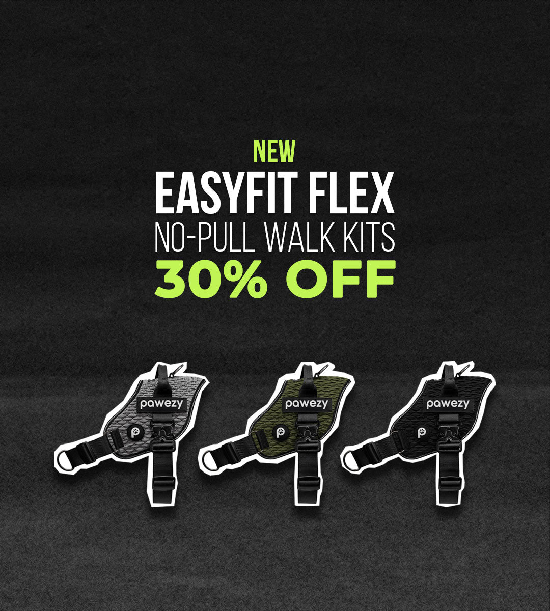 EASYFIT-FLEX-Mobile-BANNER_RESIZED.jpg