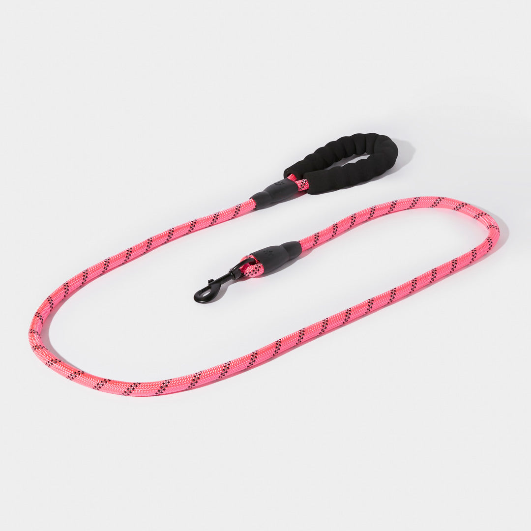 Night Reflective Rope Leash