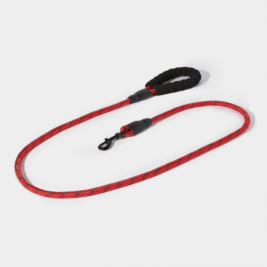 Night Reflective Rope Leash