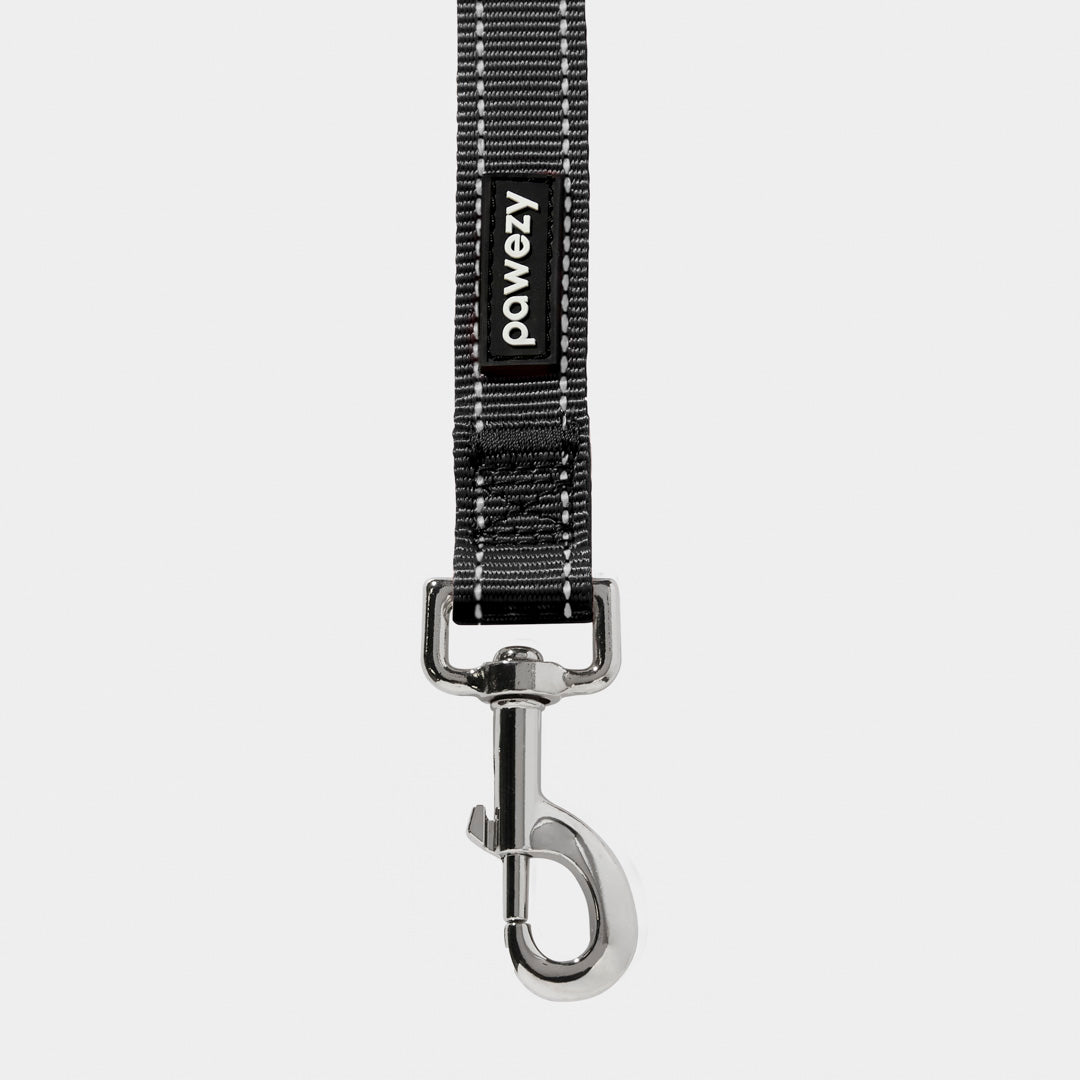 Night Reflective Dog Leash
