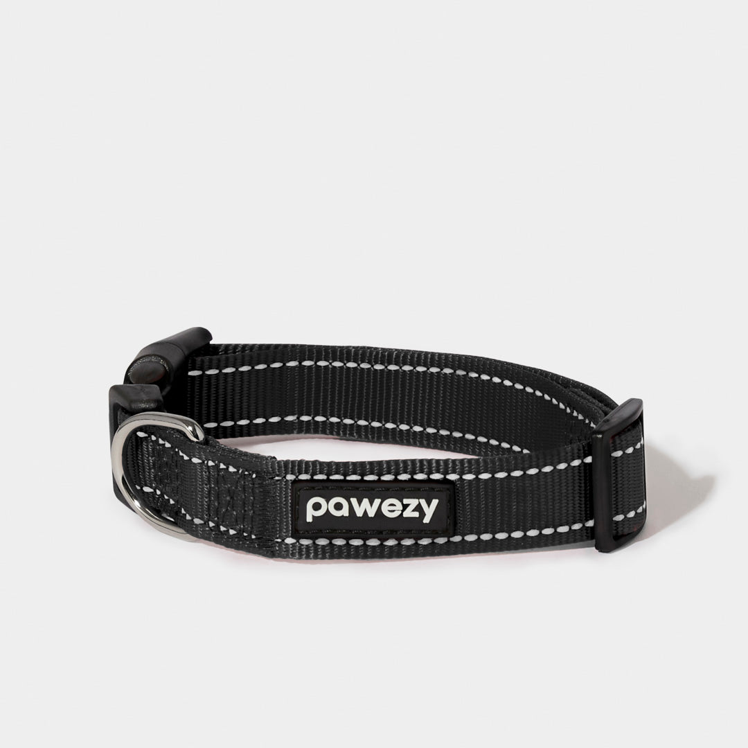 Night Reflective Collar