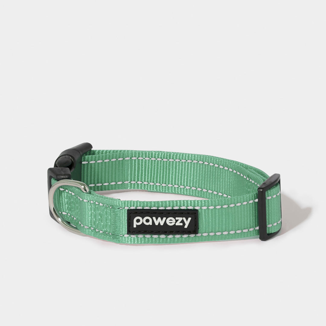 Night Reflective Collar