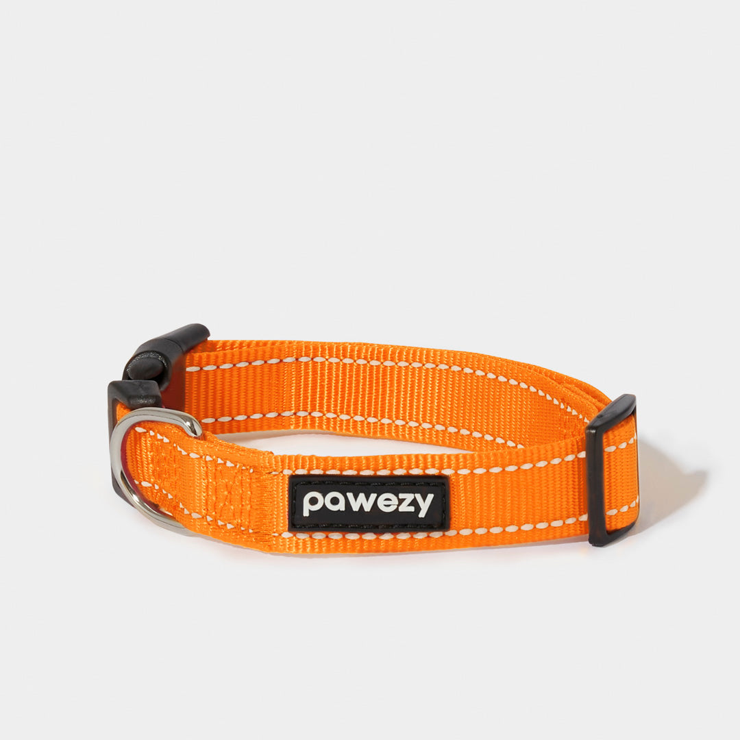 Night Reflective Collar