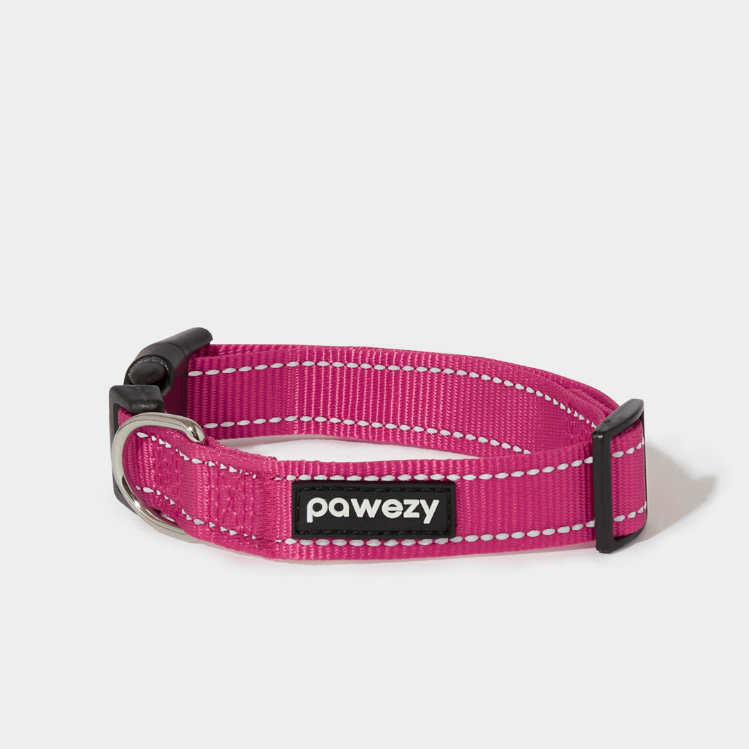 Night Reflective Collar