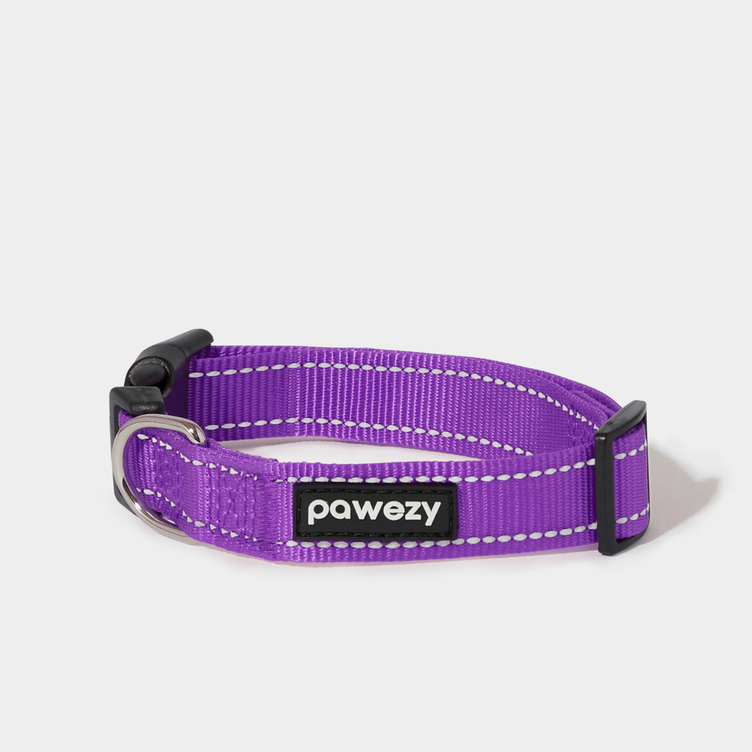 Night Reflective Collar