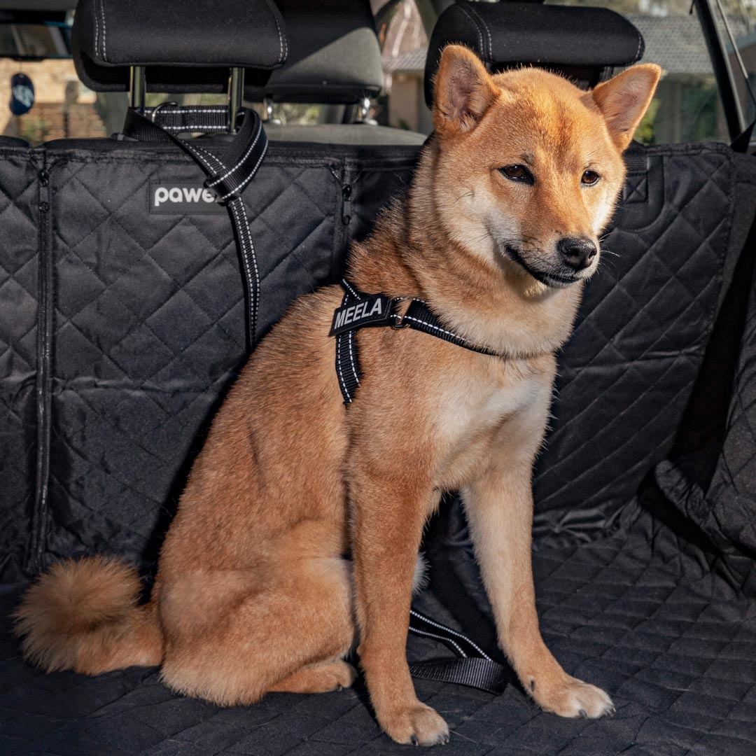 Car Boot Cover