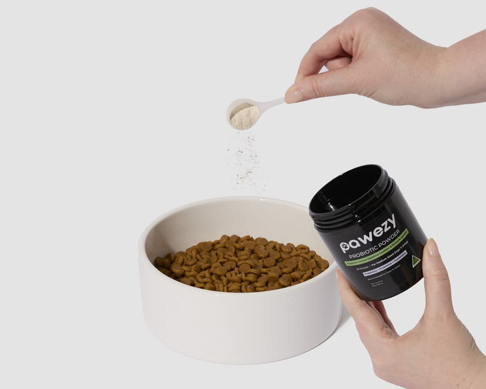 How Often Should You Give Your Dog Supplements?
