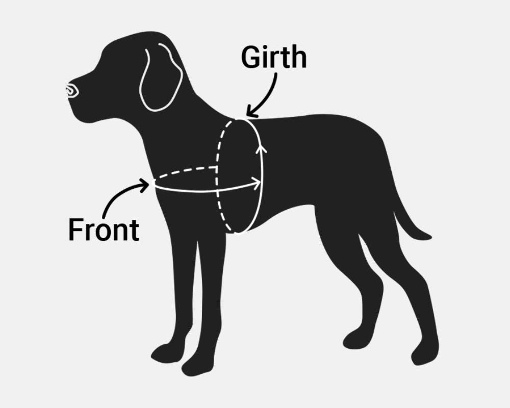 A Complete Dog Harness Sizing Guide: How to Get the Right Fit for Your Pup