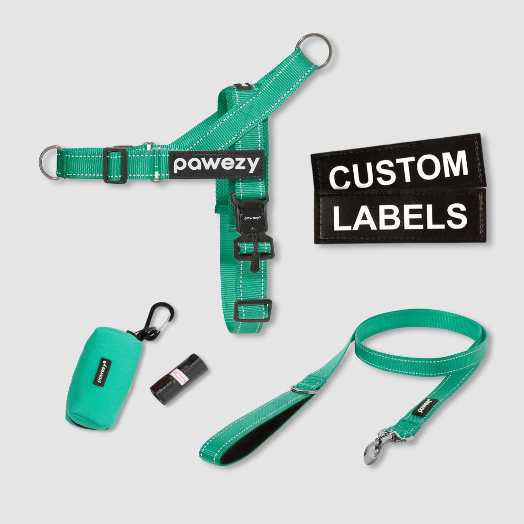 EasyFit No-Pull Kit