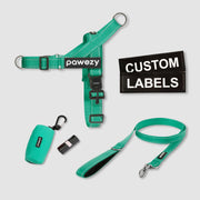EasyFit No-Pull Kit