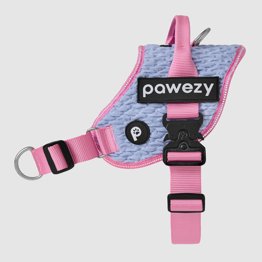 Flex No-Pull Harness