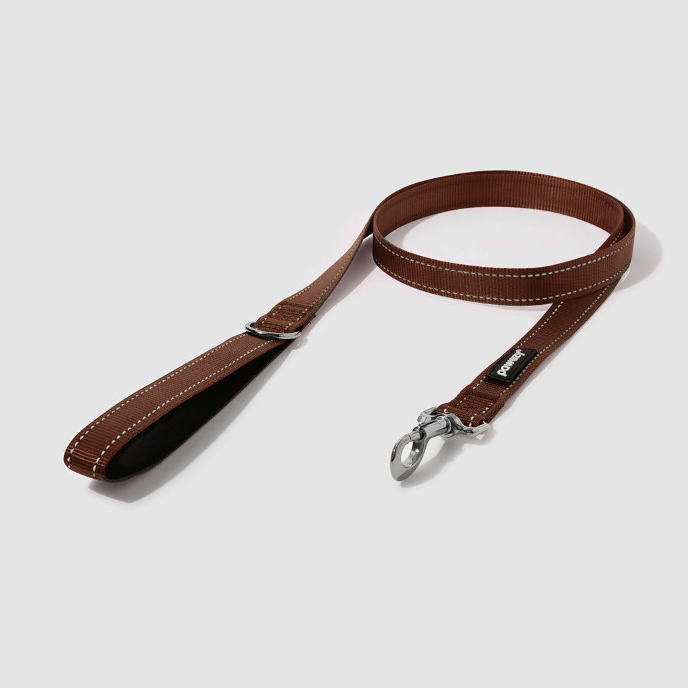 Reflective Leash