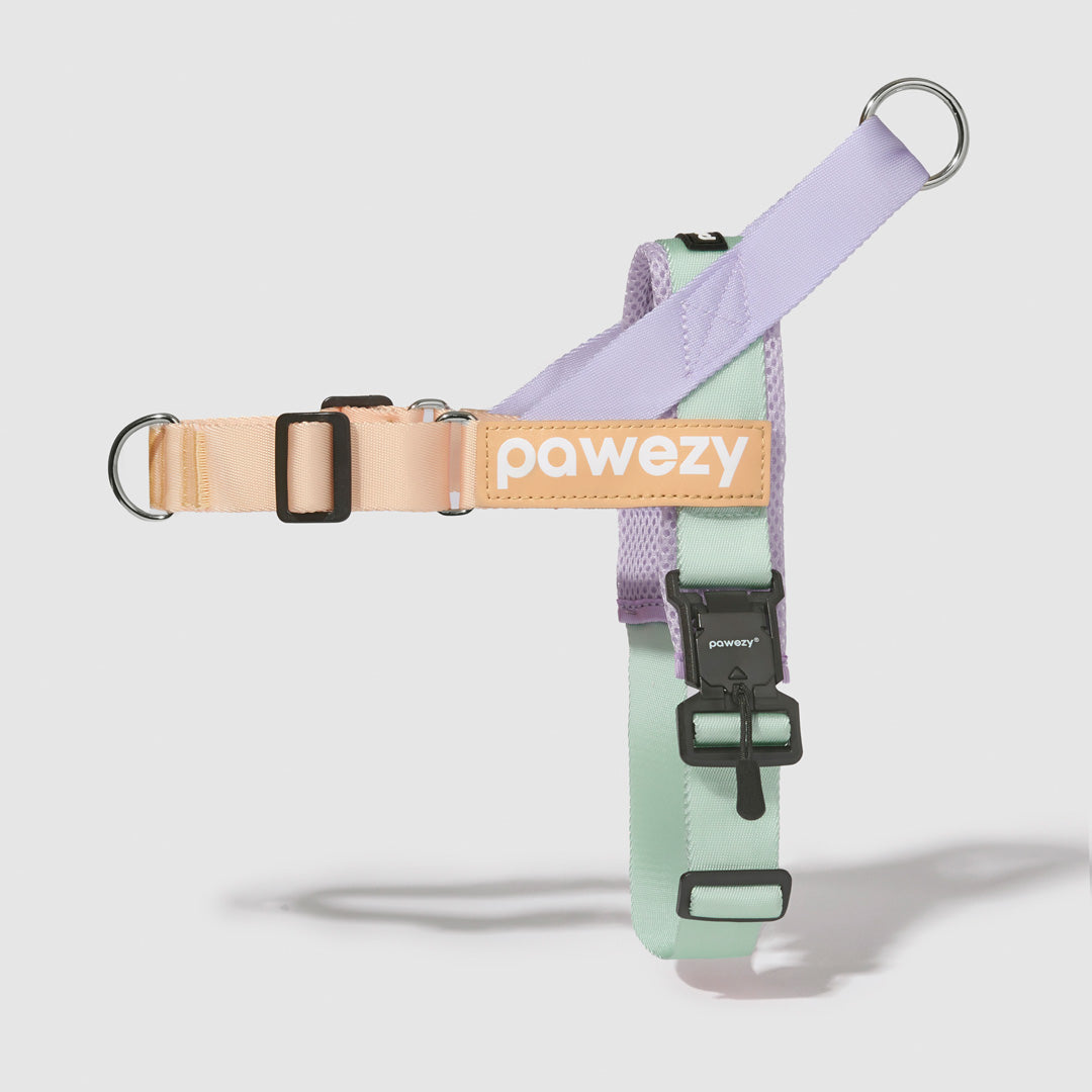EasyFit Air No-Pull Harness