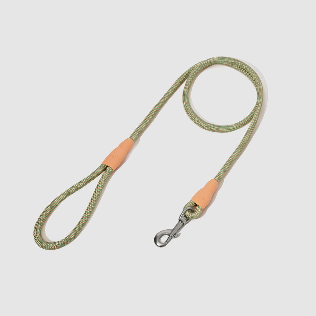 Flex Rope Leash