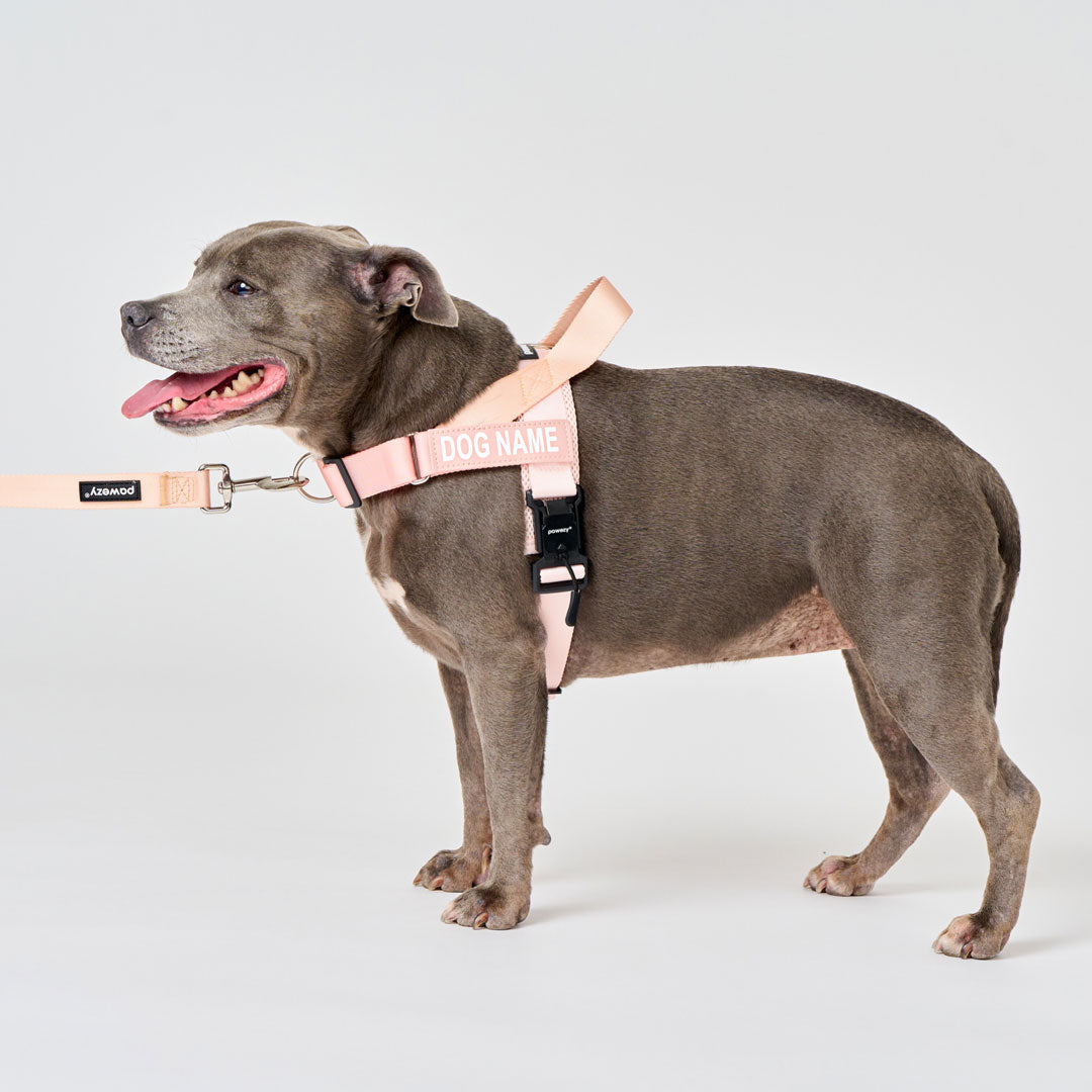 EasyFit Air No-Pull Harness