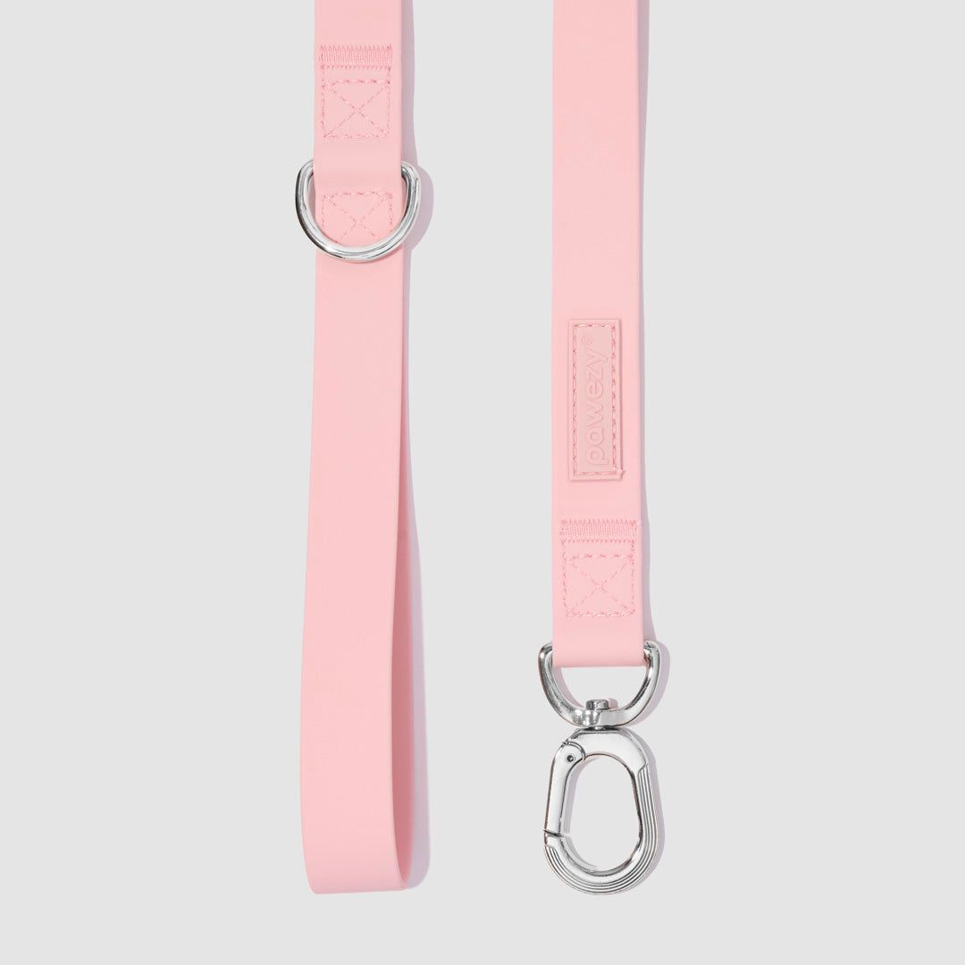 Swim Leash