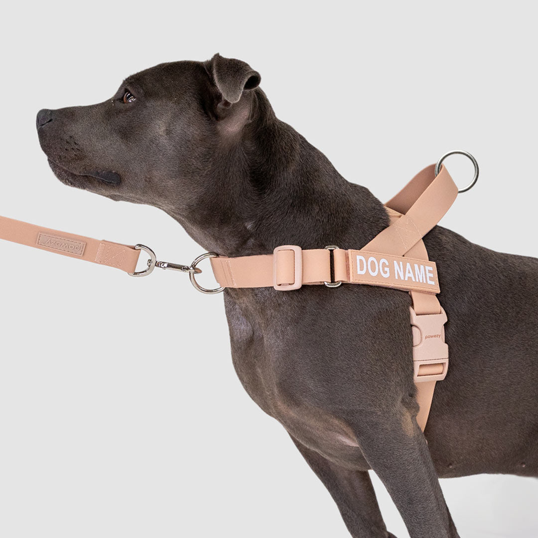 EasyFit Swim No-Pull Harness