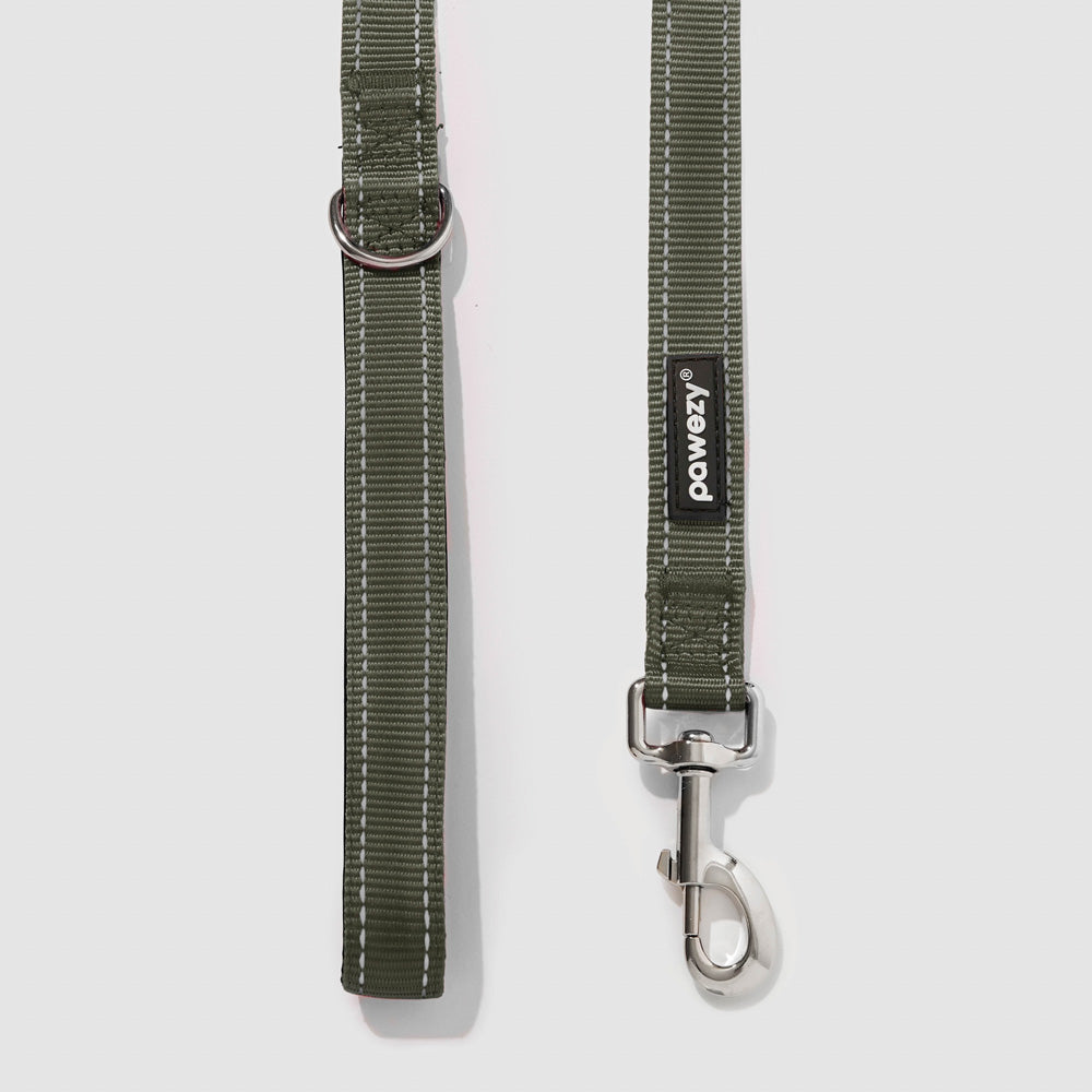 Reflective Leash