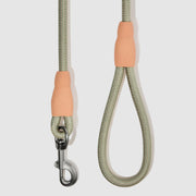 Flex Rope Leash