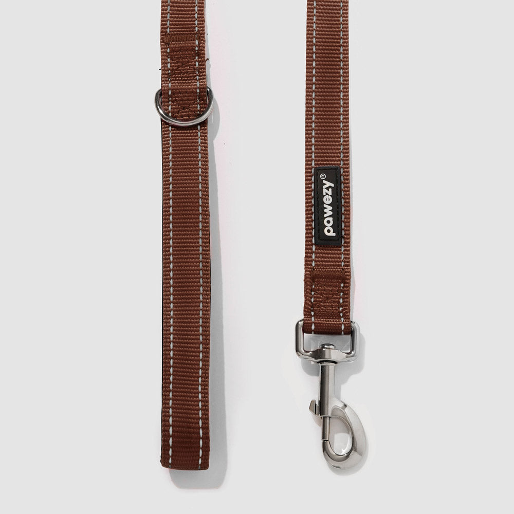 Reflective Leash