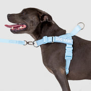 EasyFit Swim No-Pull Harness
