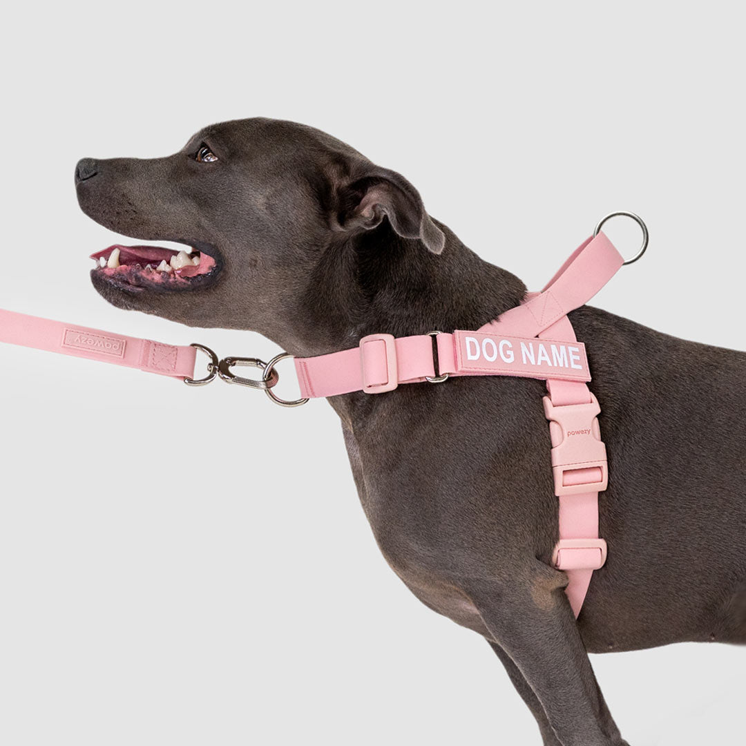 EasyFit Swim No-Pull Harness