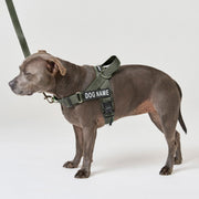EasyFit No-Pull Harness