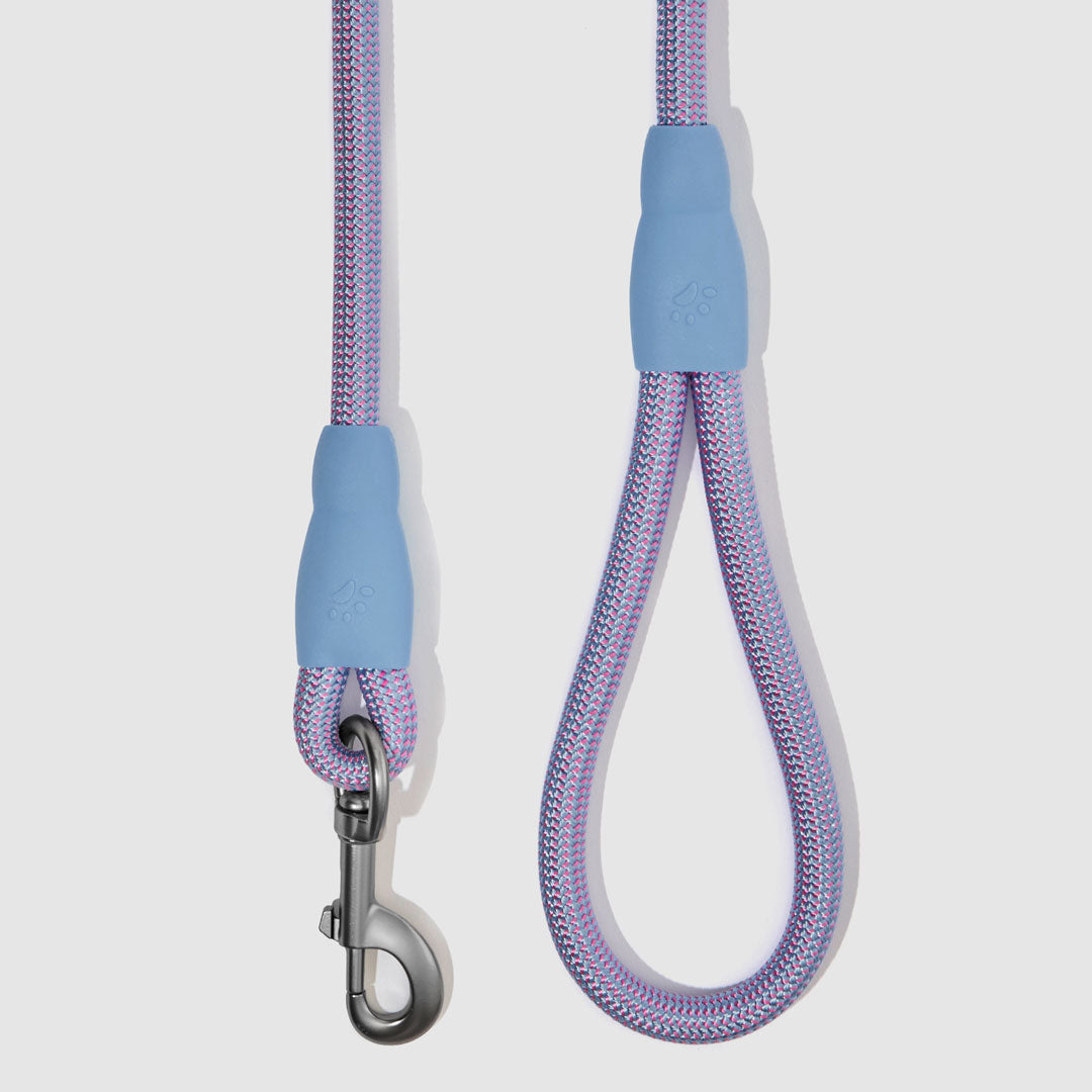 Flex Rope Leash