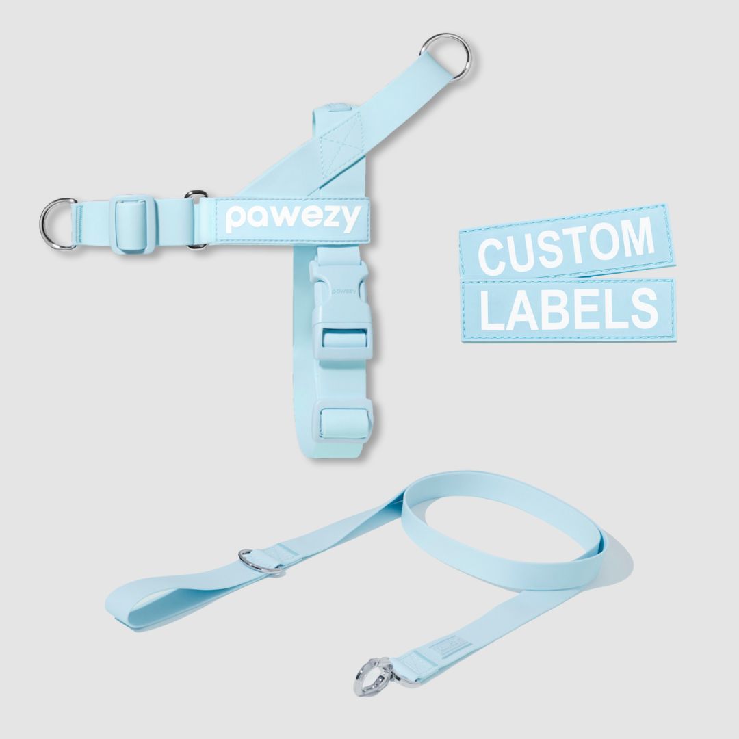 EasyFit Swim No-Pull Kit
