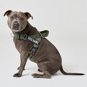 EasyFit No-Pull Harness