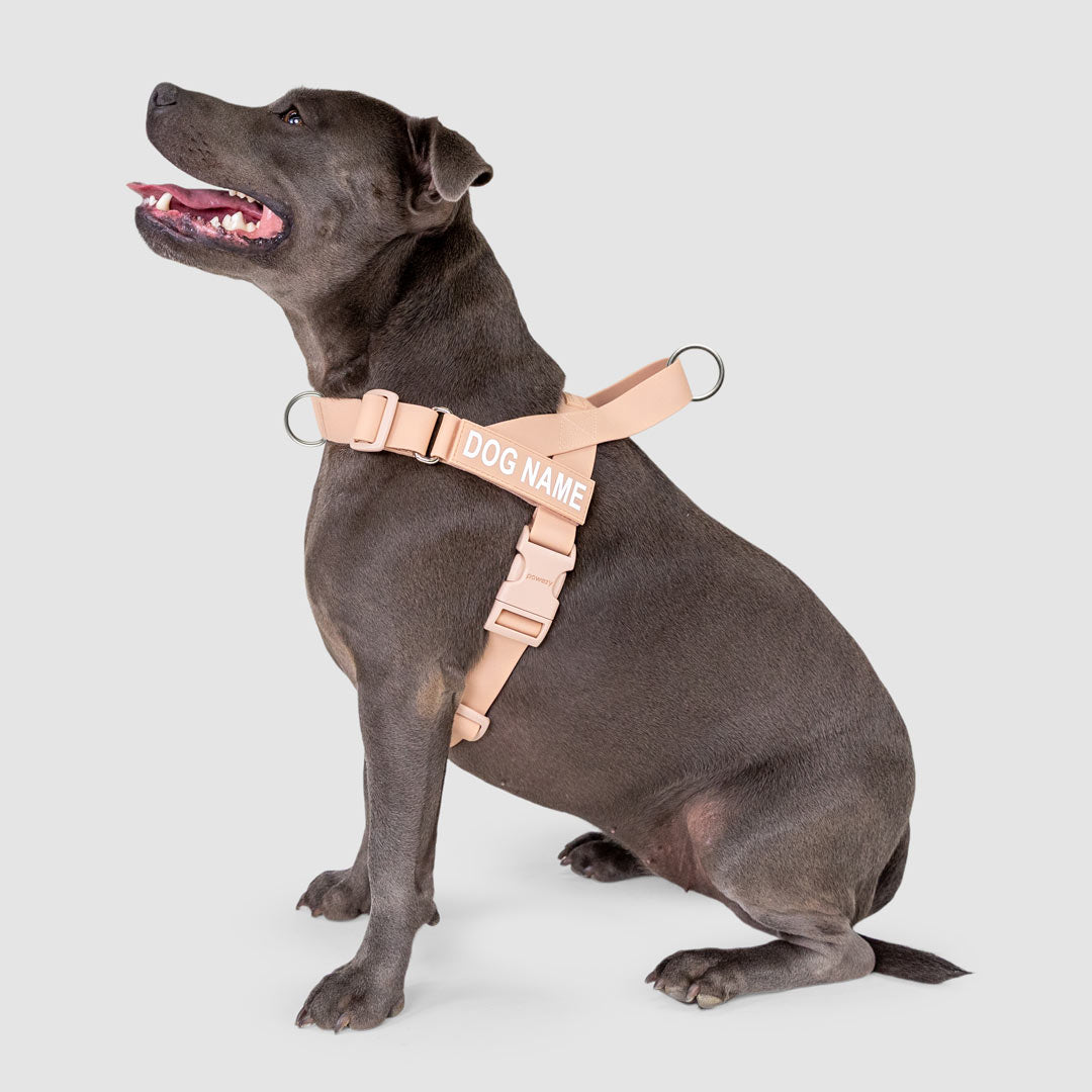 EasyFit Swim No-Pull Harness