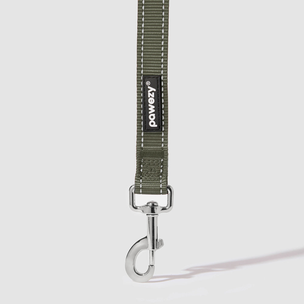Reflective Leash