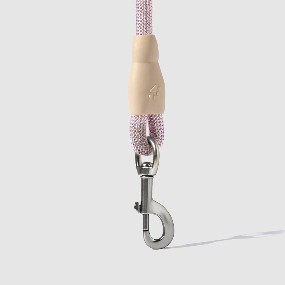 Flex Rope Leash