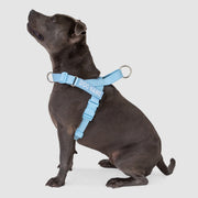 EasyFit Swim No-Pull Harness