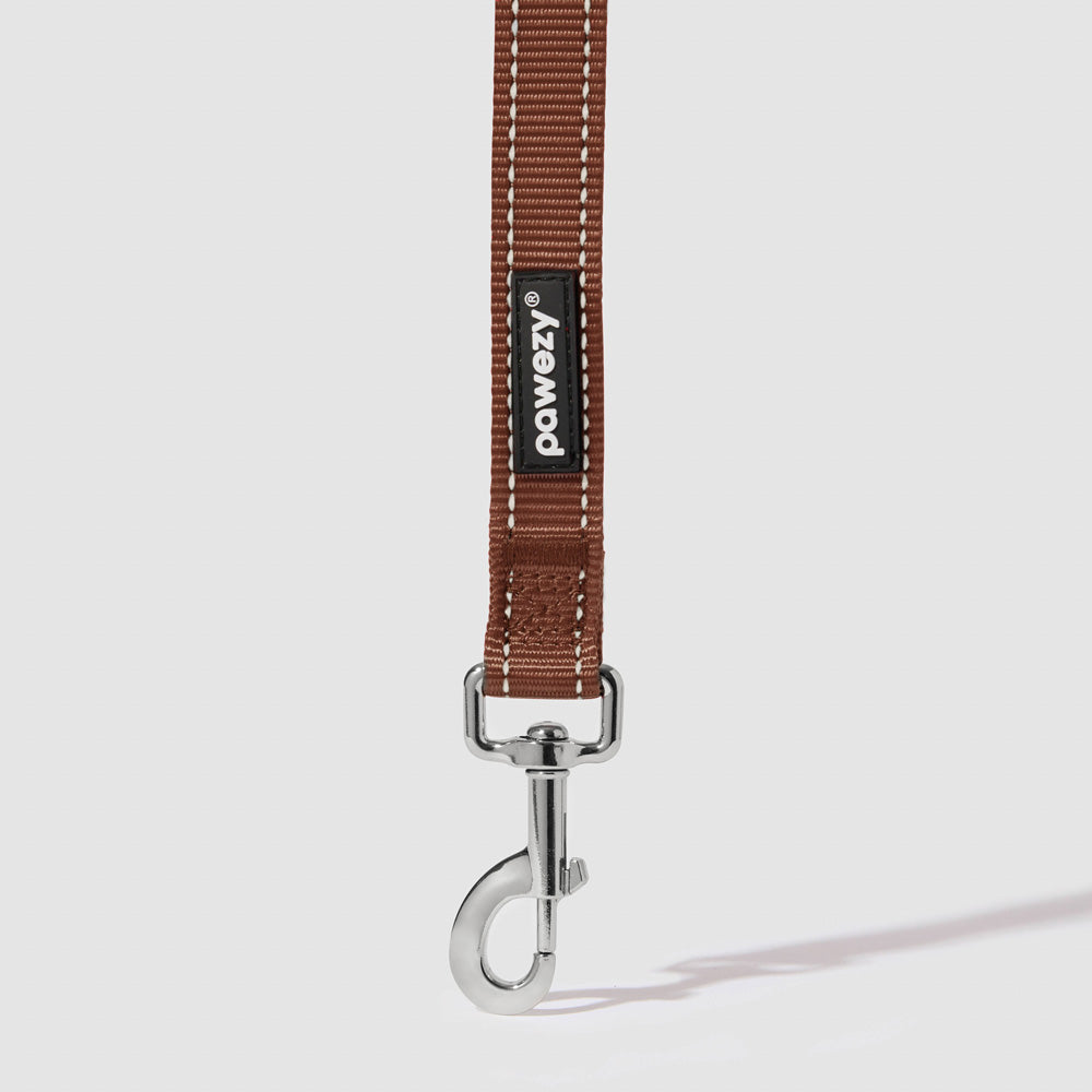 Reflective Leash
