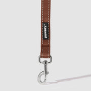 Reflective Leash