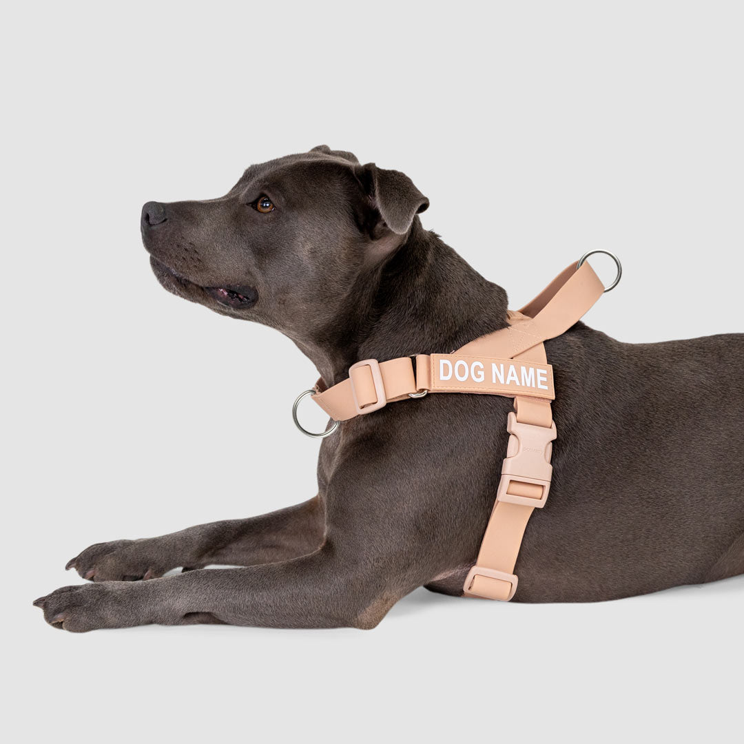 EasyFit Swim No-Pull Harness