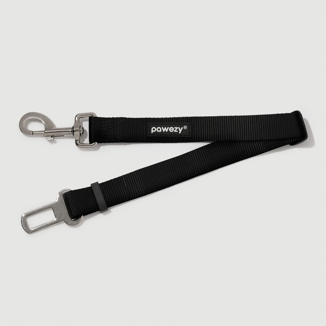 Safety Seat Belt