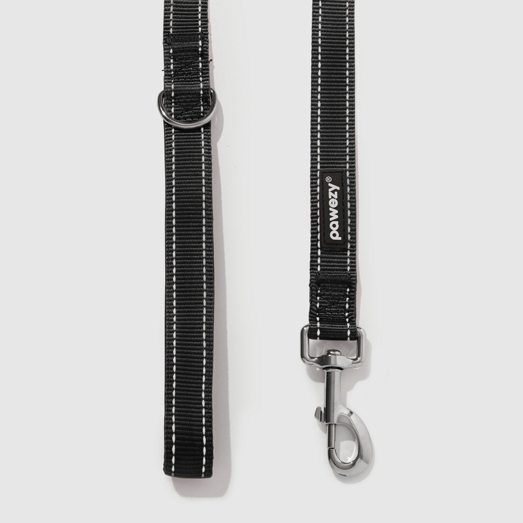 Reflective Leash