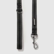 Reflective Leash