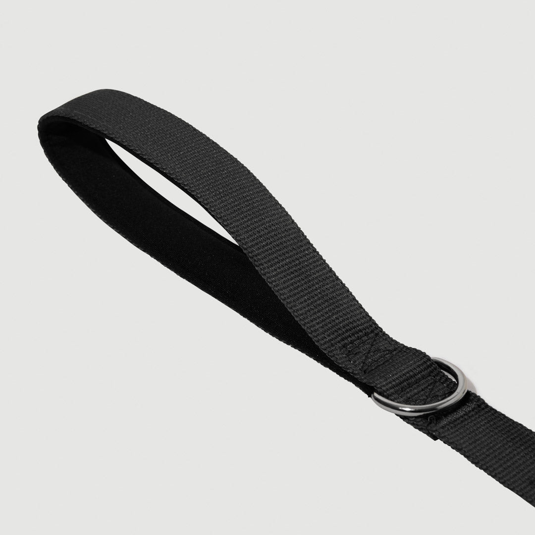 Shock Absorbing Leash