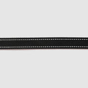 Reflective Leash