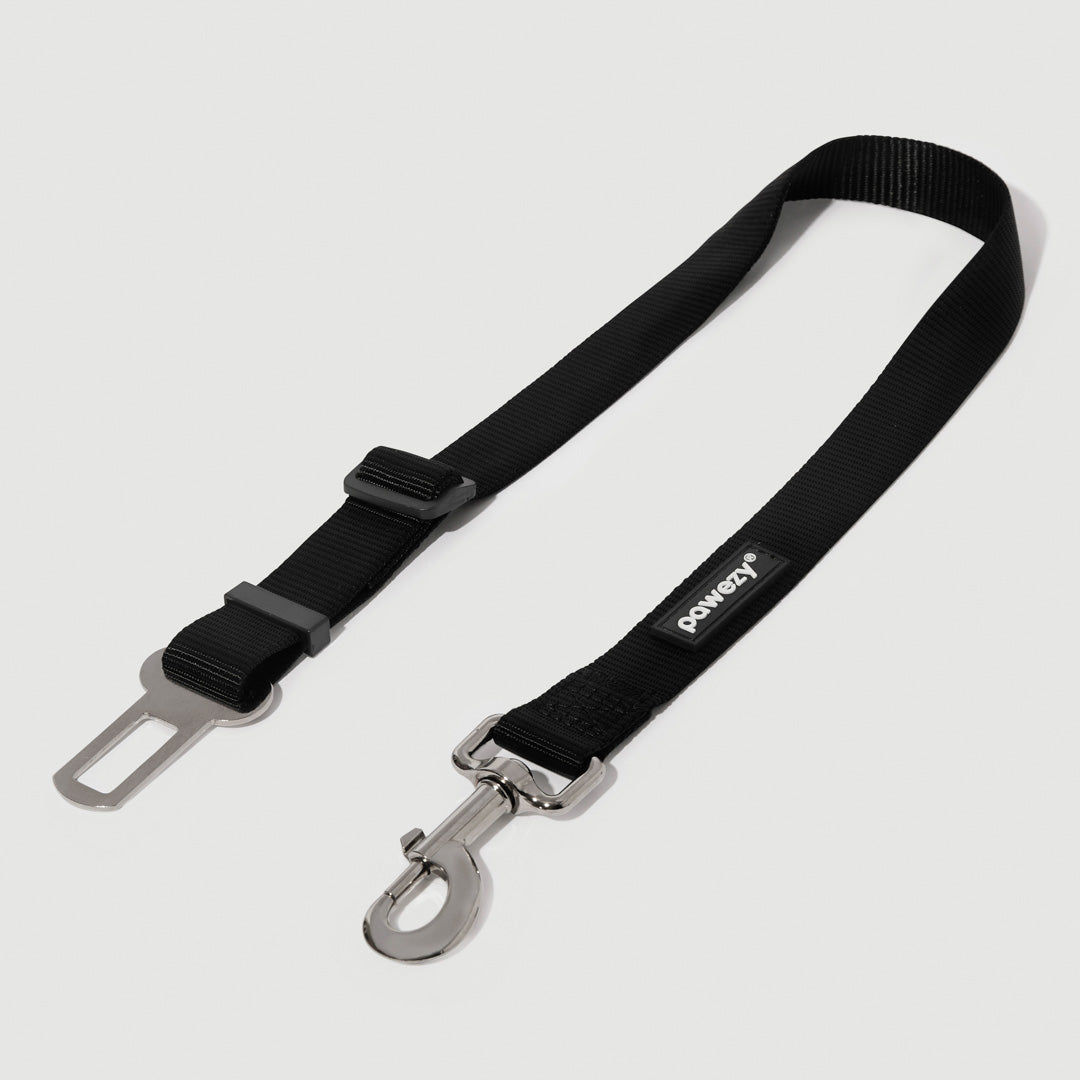 Safety Seat Belt