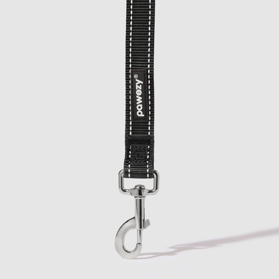 Reflective Leash