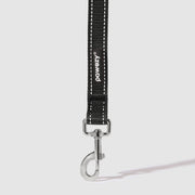 Reflective Leash