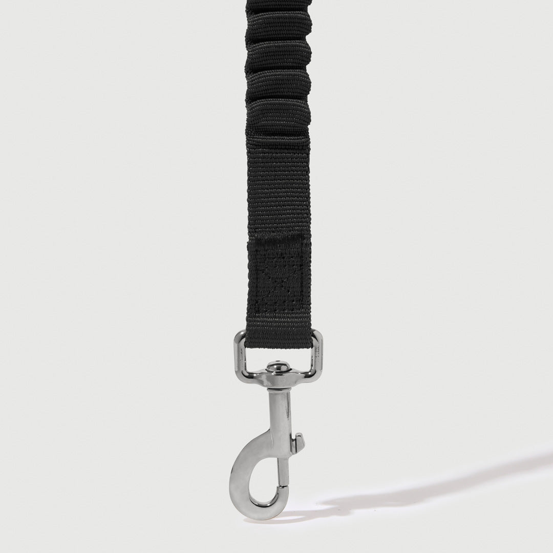 Shock Absorbing Leash