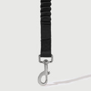 Shock Absorbing Leash